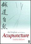 Acupuncture: Visible Holism