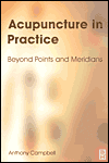 Acupuncture in Practice: Beyond Points and Meridians