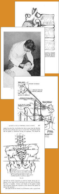 Chiropractic Principles and Technic on CD