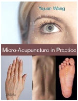 Micro-Acupuncture in Practice