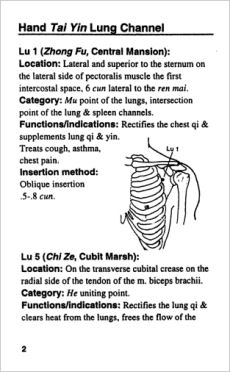 Acupoint Pocket Reference 