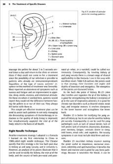 Advanced Techniques in Oriental Medicine