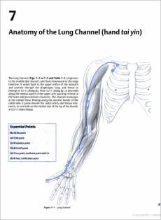 Clinical Introduction To Medical Acupuncture