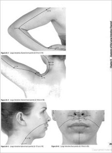 Clinical Introduction To Medical Acupuncture