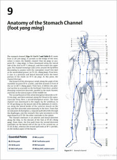 Clinical Introduction To Medical Acupuncture