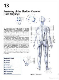 Clinical Introduction To Medical Acupuncture