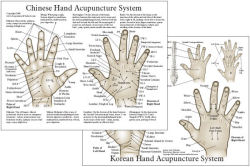 Chinese & Koryo Hand Therapy Hand Acupuncture Chart 