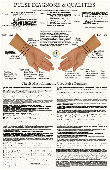 Pulse Diagnosis Acupuncture Laminated Chart