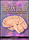 The Human Brain: in Photographs and Diagrams
