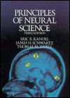 Principles of Neural Science