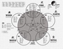 Acupuncture Charts