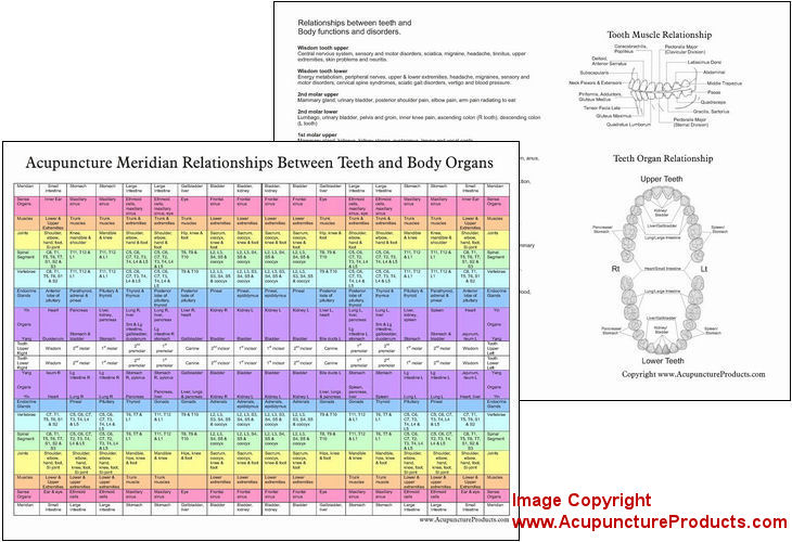Dental Meridian Chart