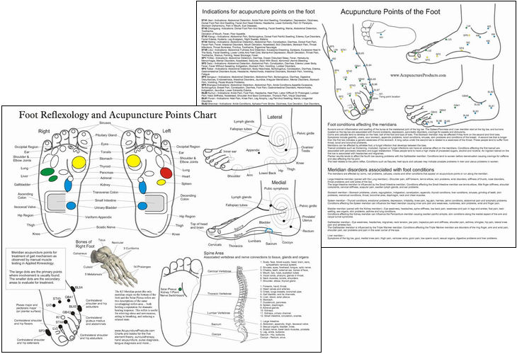Foot Reflexology Laminated Chart