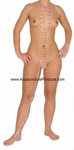 Kidney Meridian