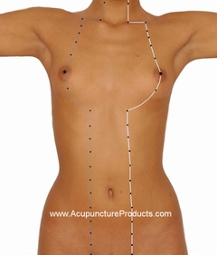 Stomach Meridian