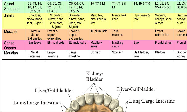 Dental Acupuncture Chart