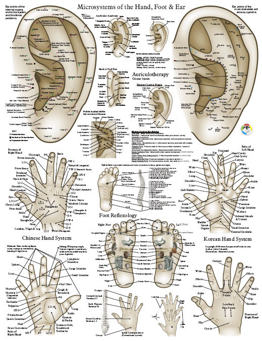 Acupuncture Microsystem Poster