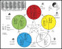 Acupuncture Charts