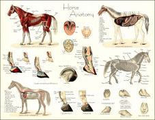 Click to View 