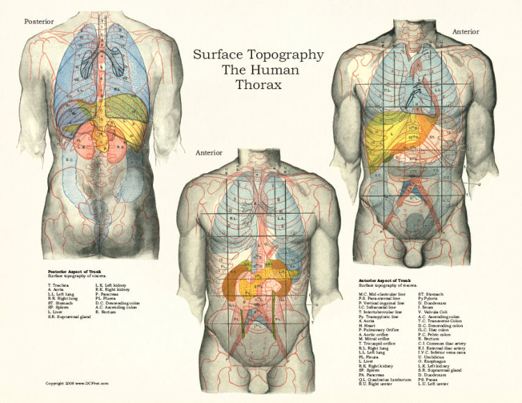 Surface Topography