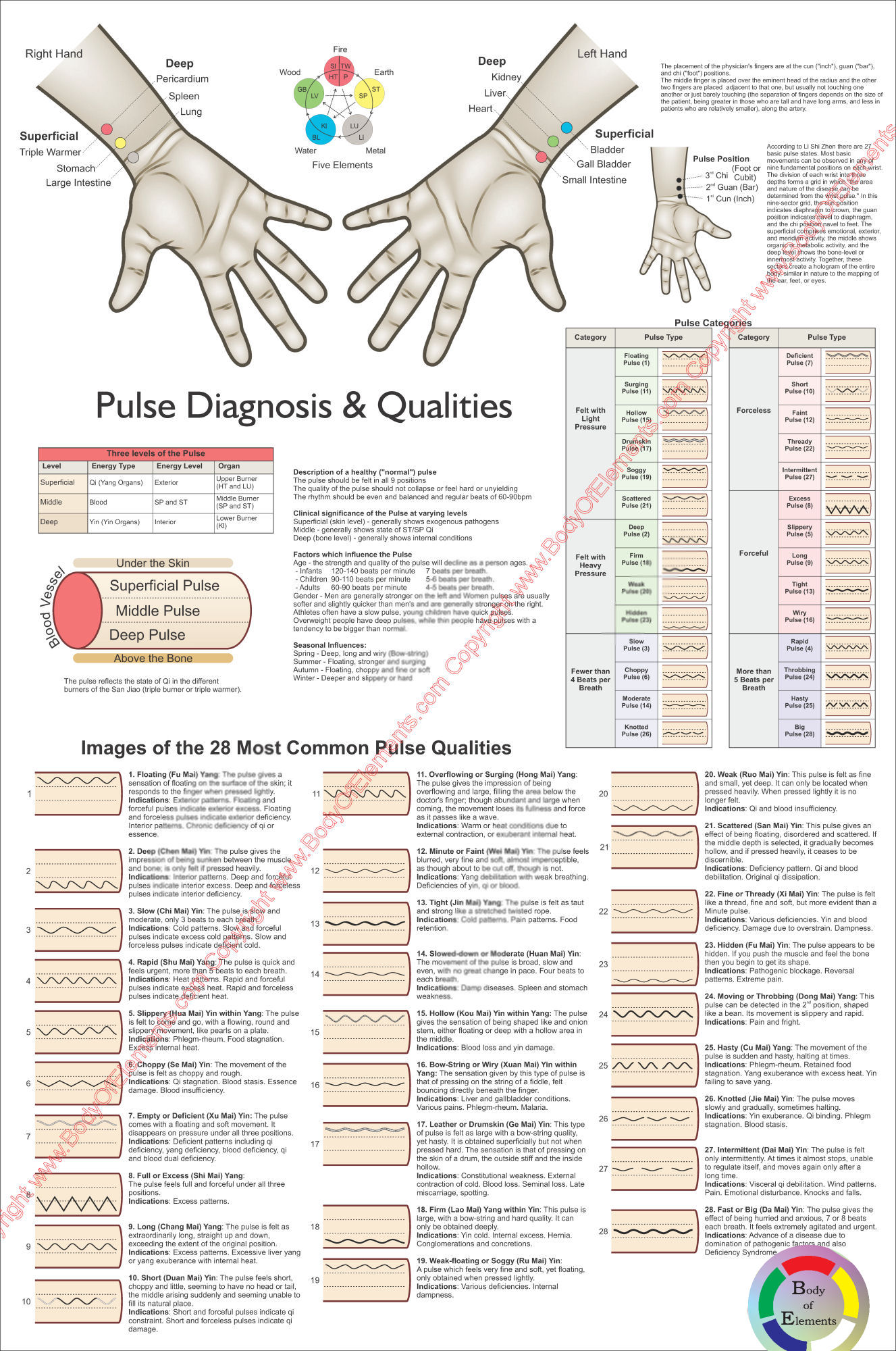 Chinese Pulse Diagnosis Chart