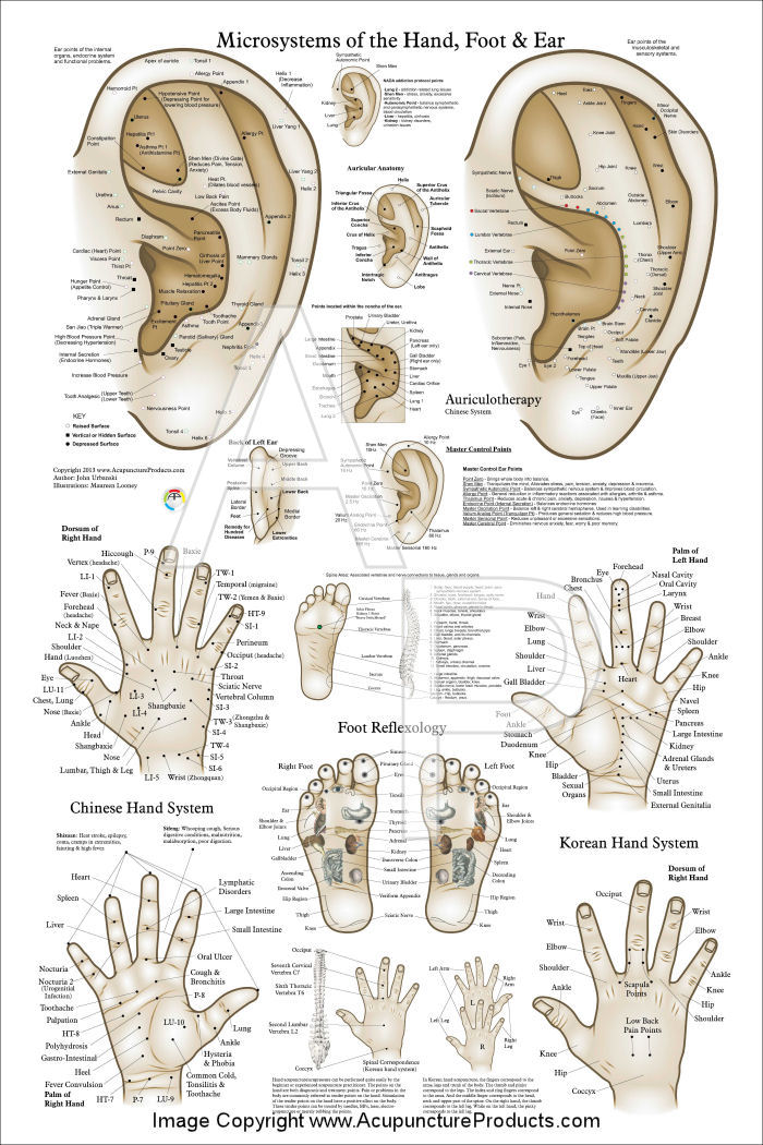 Acupuncture Microsystem Poster