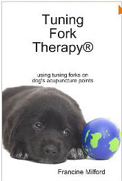 Tuning Fork Therapy Using Tuning Forks On Dog