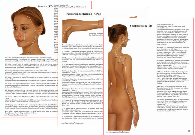 Acupuncture Handbook