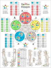 Acupuncture Meridians Chart Pdf