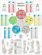 Pulse Diagnosis Chart Pdf