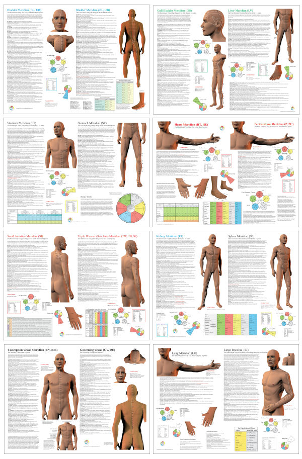 Acupuncture Meridian Points Posters