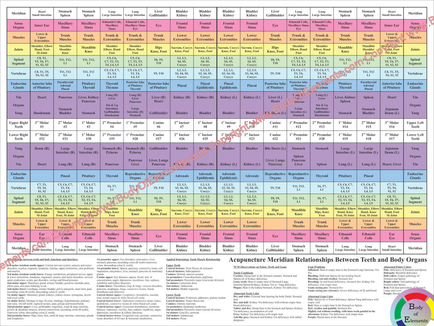 Dental Acupuncture Meridian Chart