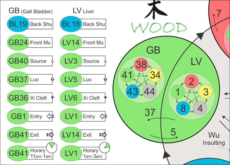 5 Element Acupuncture Points Chart