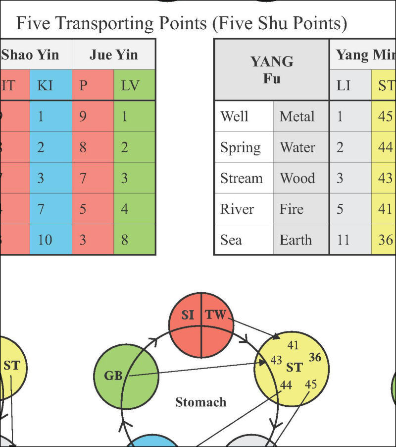 Five Element Shu Points