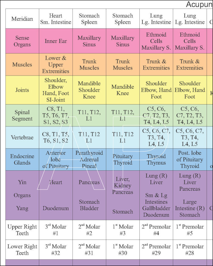 Tooth Acupuncture Chart