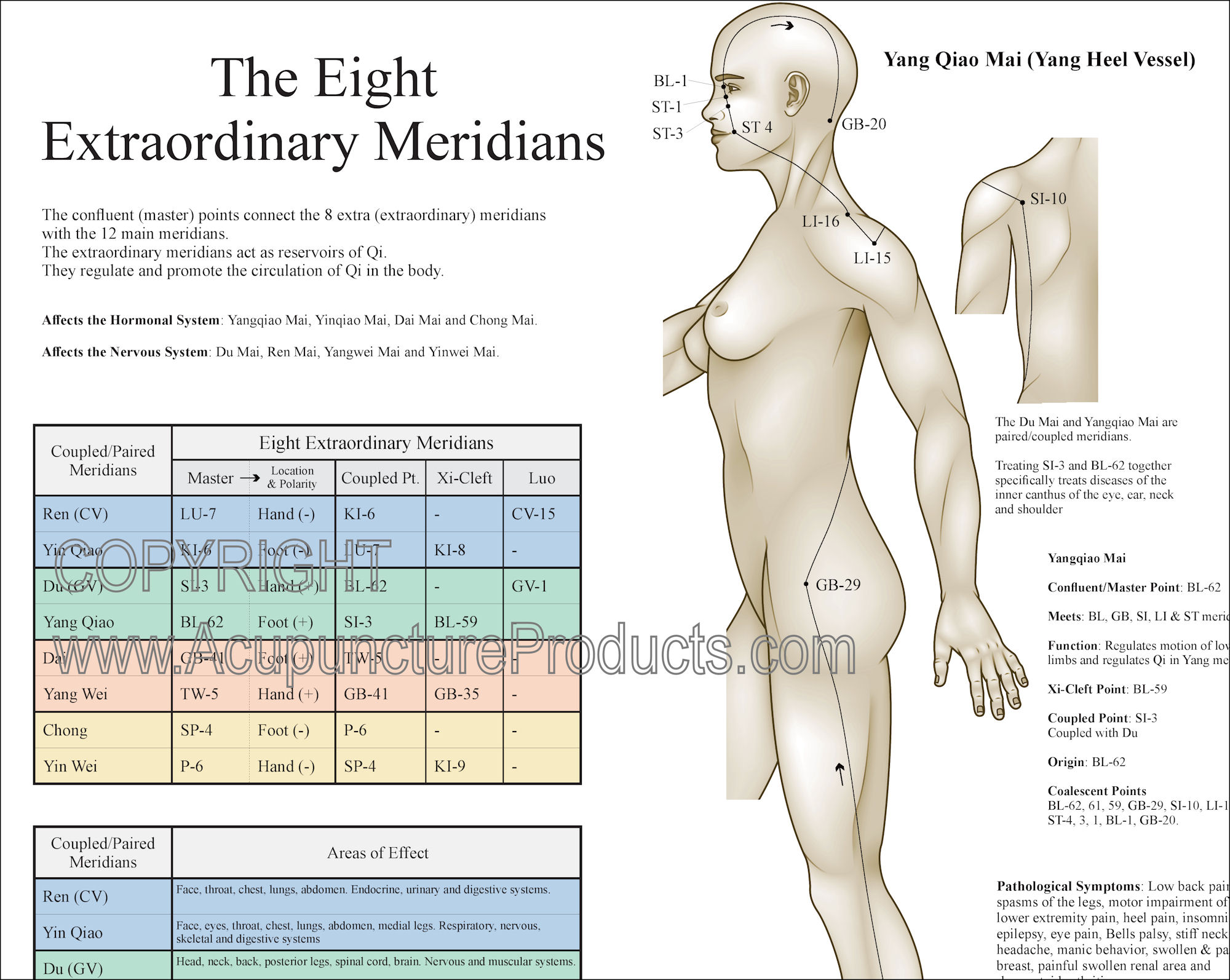 Eight Extraordinary Meridians Poster