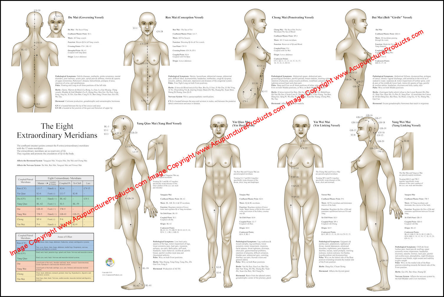 Eight Extraordinary Meridians Poster