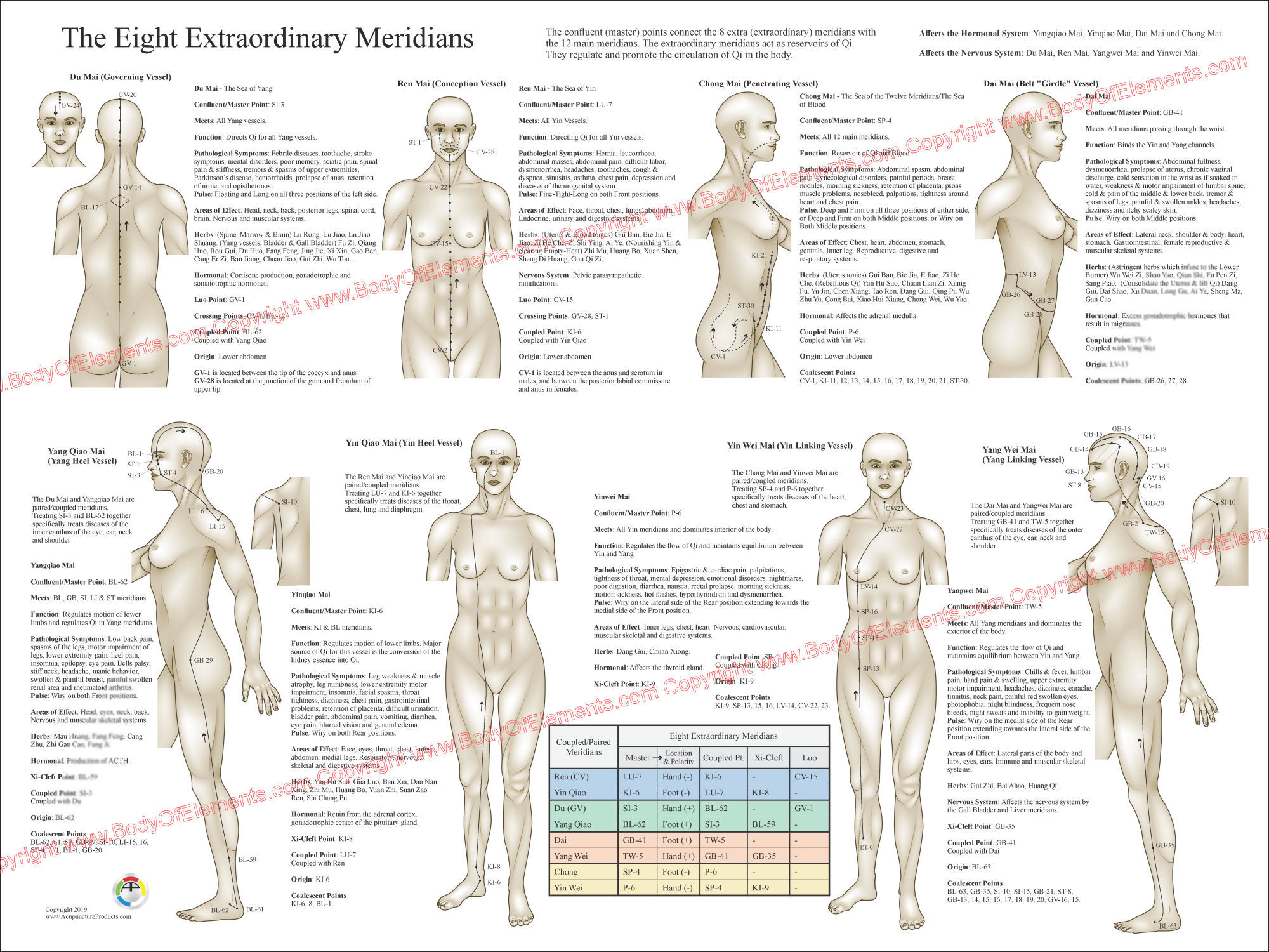 Eight Extraordinary Meridians Poster