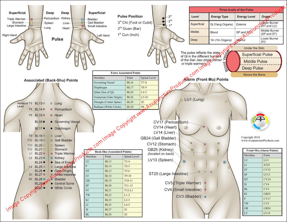 Five Element Theory of Acupuncture Chart