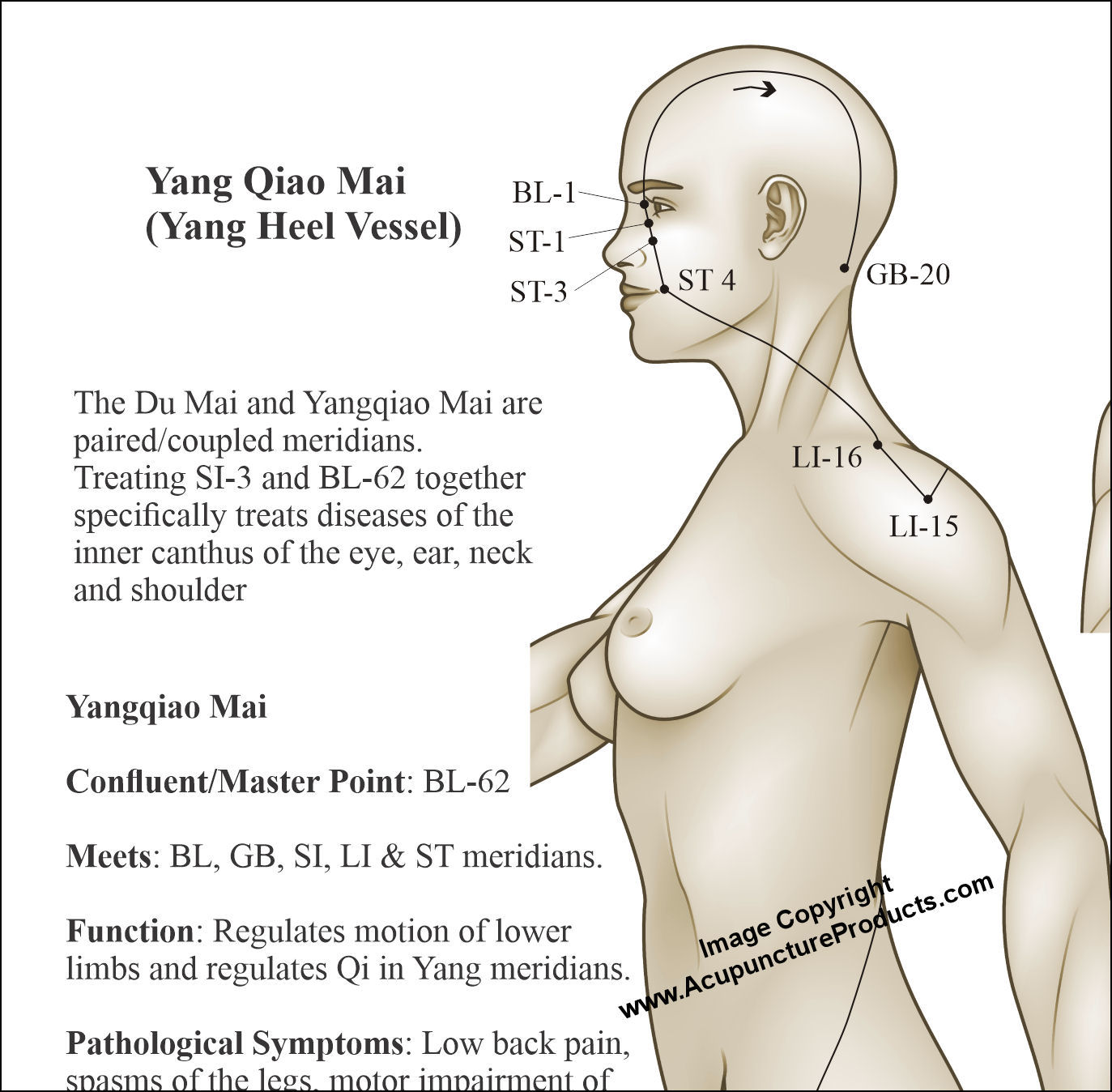 Eight Extraordinary Meridian Yang Qiao Mai Points