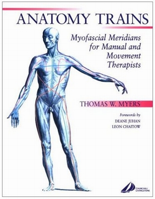 Anatomy Trains: Myofascial Meridians for Manual and Movement Therapists