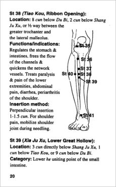 Acupoint Pocket Reference 