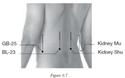 Acupuncture Energetics A Clinical Approach for Physicians