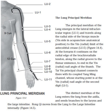 Acupuncture Energetics A Clinical Approach for Physicians