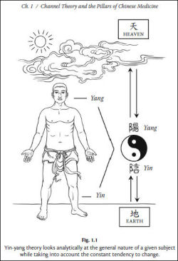 Applied Channel Theory in Chinese Medicine