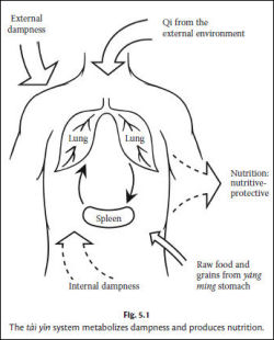 Applied Channel Theory in Chinese Medicine