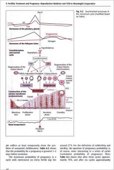 Chinese Medicine in Fertility Disorders