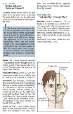 Color Atlas of Acupuncture