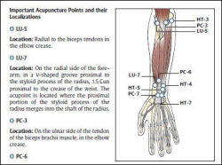 Color Atlas of Acupuncture