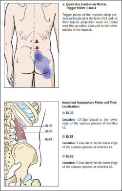 Color Atlas of Acupuncture